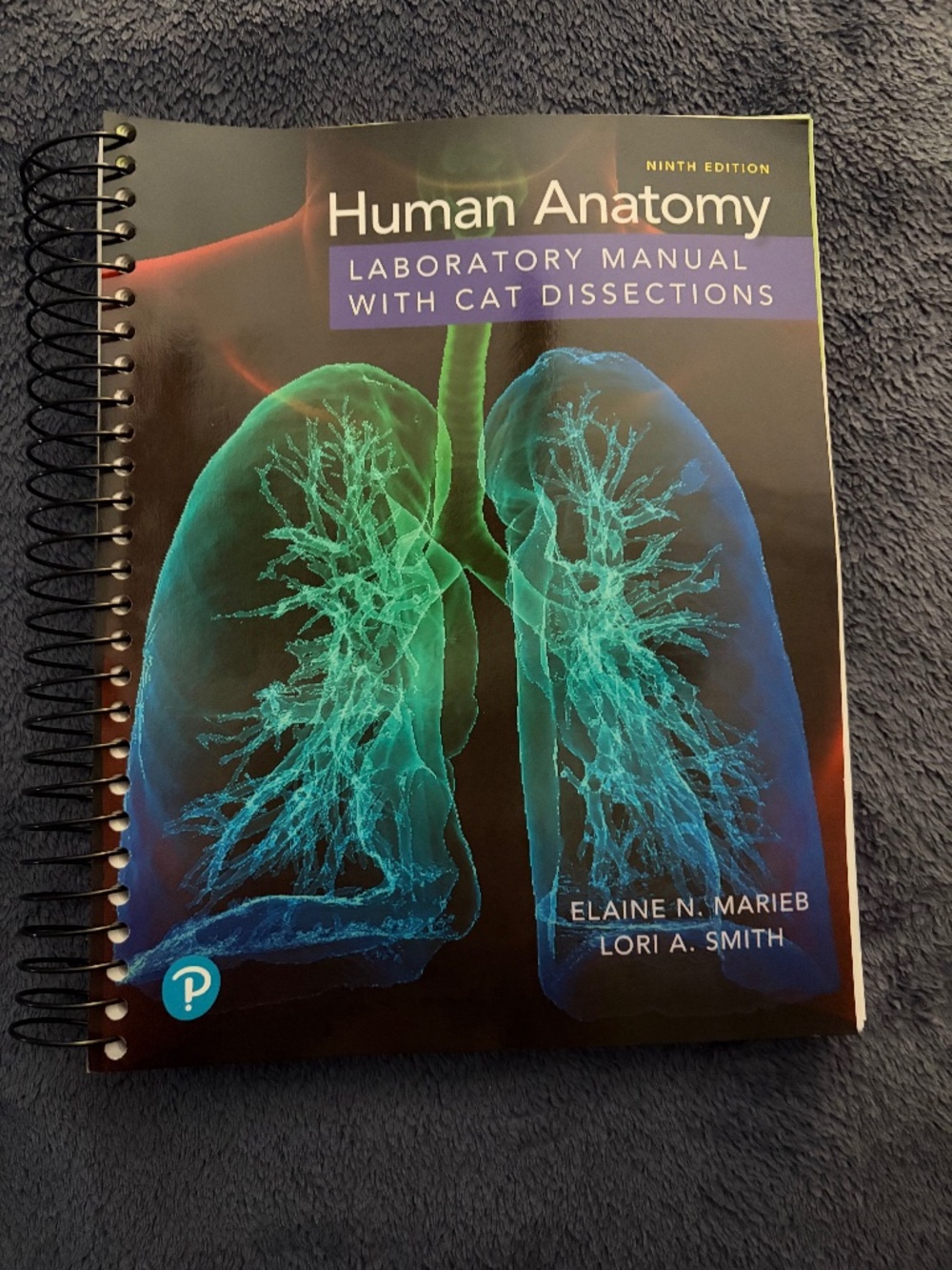 Human Anatomy & Physiology (LAB)